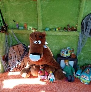 Meet your Posher, Dan